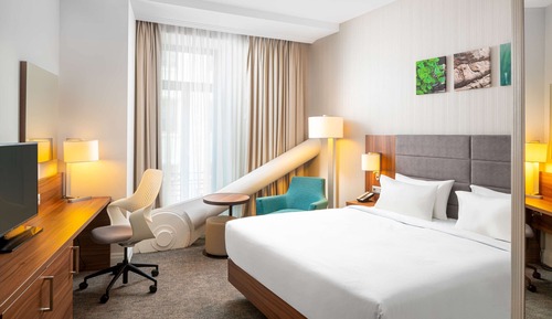 Room, 1 King Bed