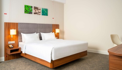Room, 1 King Bed, Connecting Rooms