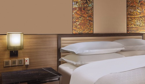 Presidential Suite, 1 Double Bed