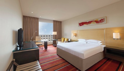 Room, 1 King Bed
