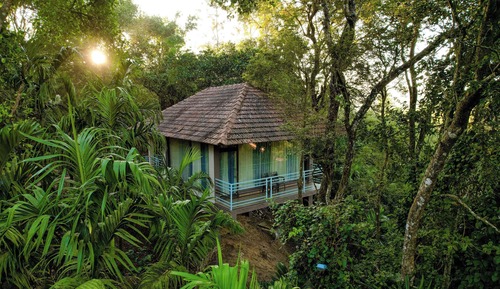 Tree House