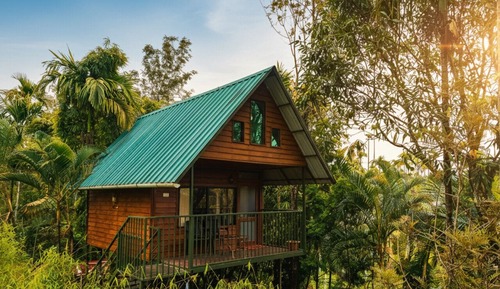 Caribbean Treehut