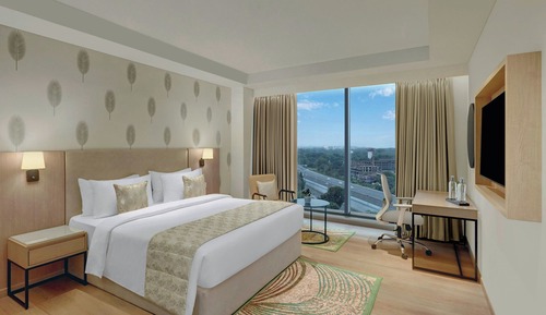 Room, 1 King Bed, City View