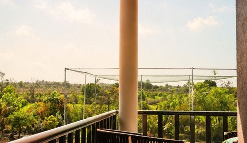 Calm Nest With Balcony (First Floor)