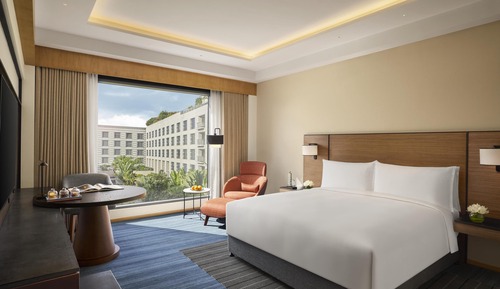 Room, 1 King Bed