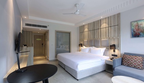 Room, Accessible (Mobility, Roll-In Shower)