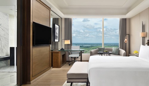 Room, 1 King Bed