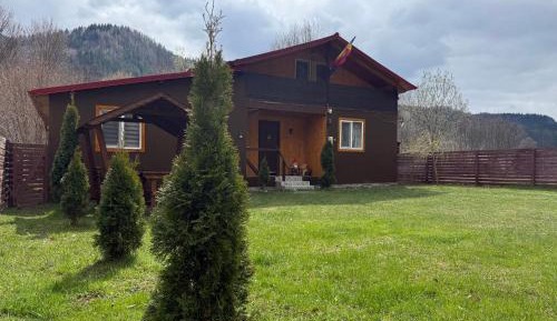 Standard Villa