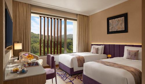 Deluxe Twin Bed Room