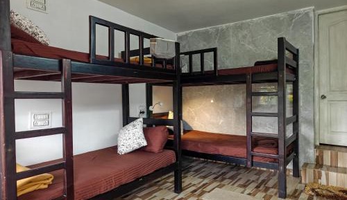 Bed in 4-Bed Female Dormitory Room