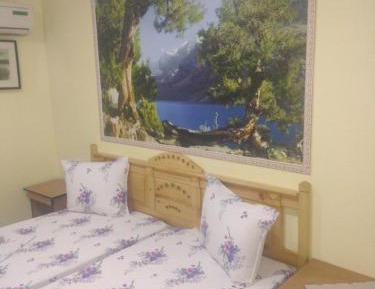 Double Room with Private Bathroom