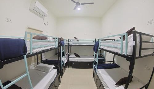 Bed in 8-Bed Mixed Dormitory Room