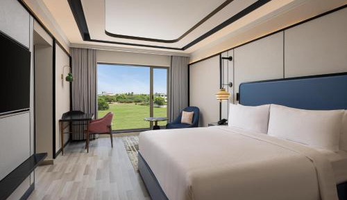Deluxe King Suite
