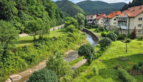 Two-Bedroom Apartment with River View