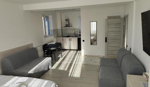 Studio with Sofa Bed