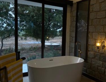 Suite with Mountain View