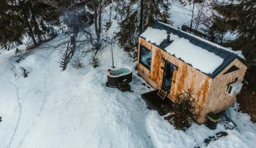 Mobile Home