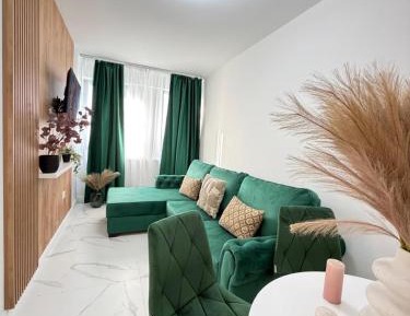 One-Bedroom Premier Apartment