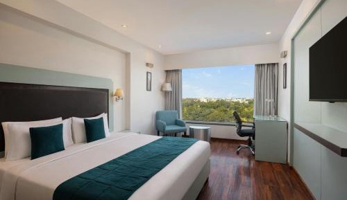 Winter Green King Room with Limited View