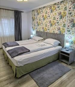 Deluxe One-Bedroom Apartment with City View