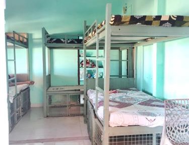 Bed in 8-Bed Dormitory Room