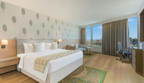 Fern Classic King Room with City View