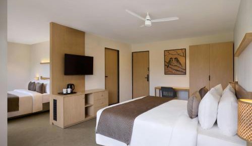 Fern Classic Premium King Room with Limited View