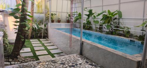 One-Bedroom Villa