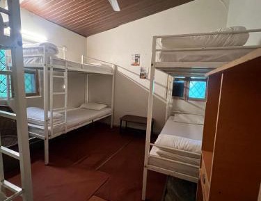 Bed in 6-Bed Mixed Dormitory Room