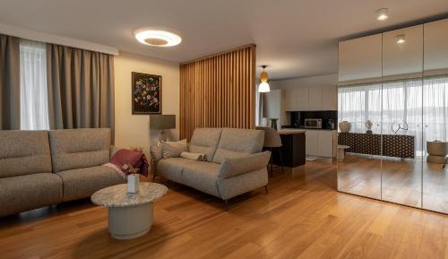 Deluxe One-Bedroom Apartment with City View