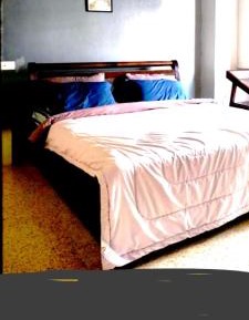 Double Room with Park View