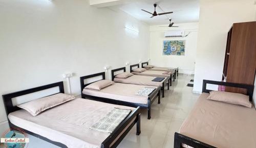 Bed in 6-Bed Dormitory Room