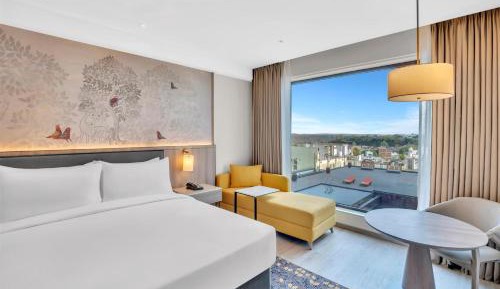 Deluxe King Suite