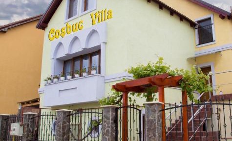 Deluxe Villa