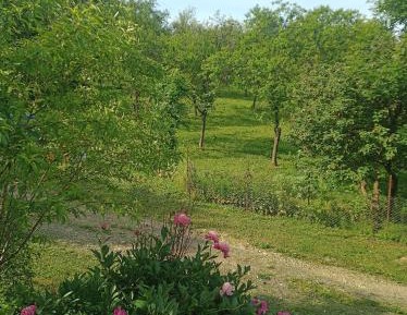 Double Room with Terrace