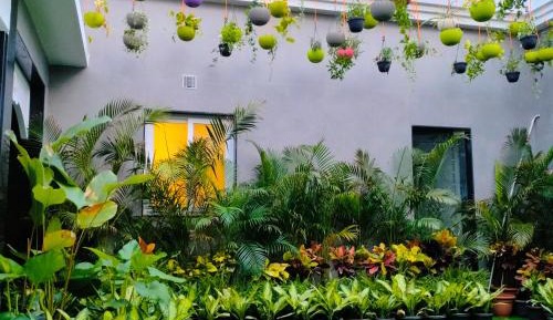 Villa - 10% Discount on Foods & Soft Beverages* | 15% Discounts on Laundry Services* | INR 500 spa credit during your stay on selective Massage services. TnC Apply.* | Free Mini-bar - 2 cans of soft Beverages (Once on Arrival)