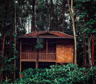 King Room with Forest Views