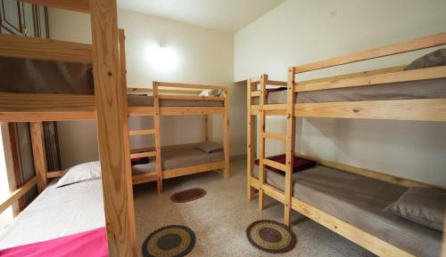 Bunk Bed in Female Dormitory Room  