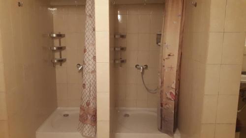 4-Bed Mixed Dormitory Room