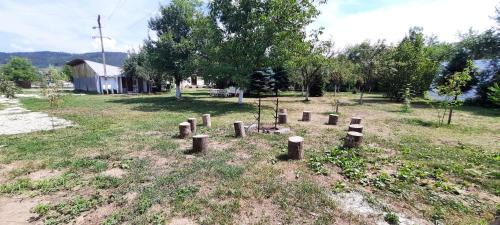 Empty Lot