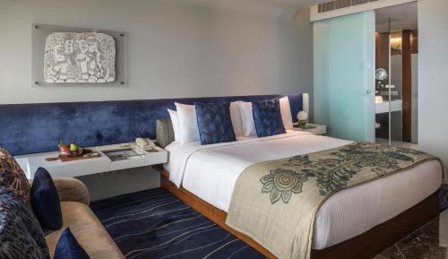 Residence Room (20% off on session of Spa ,15% Off on Laundry service ,Complimentary Welcome Drink on arrival)