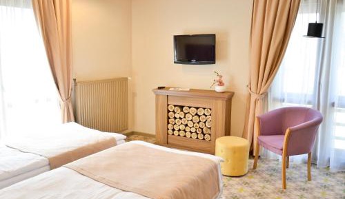 Superior Double or Twin Room