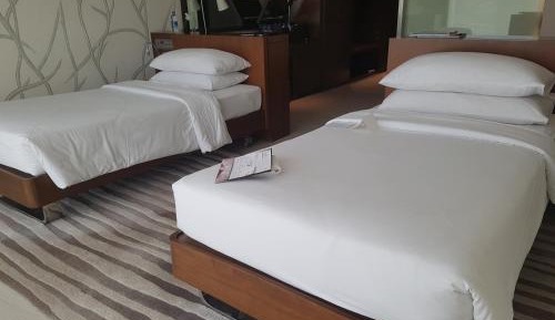 Superior Twin Room with City View