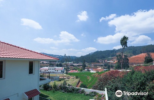 Ooty Hotel | OYO 13118 Twin Falls