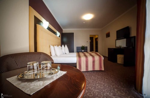 Bistrita Hotel | Hotel Ozana