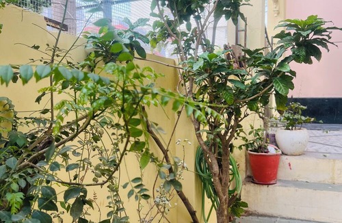 Udaipur Villa | Charming 2-bedroom villa in pleasant Udaipur with Private pool AC, WIFI