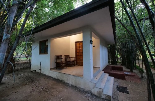 Tala Resort | Bandhavgarh Meadows
