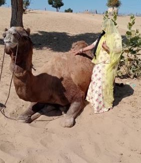 Osian House | Osian Camel safari and Village home stay