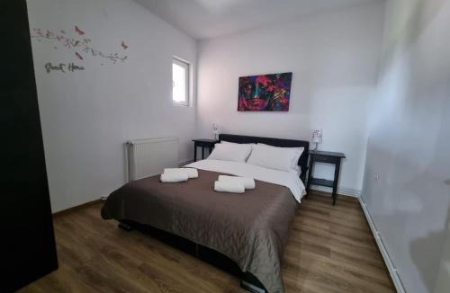 Dudestii Noi House | Parnica Home 3