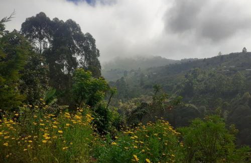 Kodaikanal Villa | siva homes